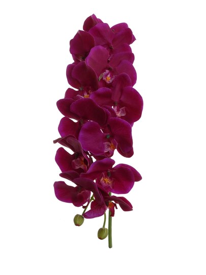 Real Touch Purple Phalaenopsis Orchid Stem, 41-Inch, 13 Realistic Silk Flowers & 2 Buds, Fake Orchids, Vase Fillers, Floral Home by Artificial Flowers